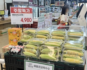 이마트 + 에브리데이 ‘통합시스템’ 본격화