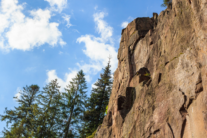 풀 베러 간다며 집 나선 90대, 산 속 공중에 매달린 채 발견돼 병원으로 옮겼지만…