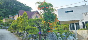 ‘30도 틀어진 2층’이 포인트… 예술적 쉼 공간으로 초대합니다[자랑합니다]