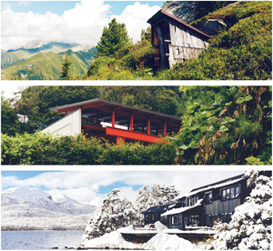 고립·불편을 장작 삼아… 숲속의 집, 색다른 삶[북리뷰]