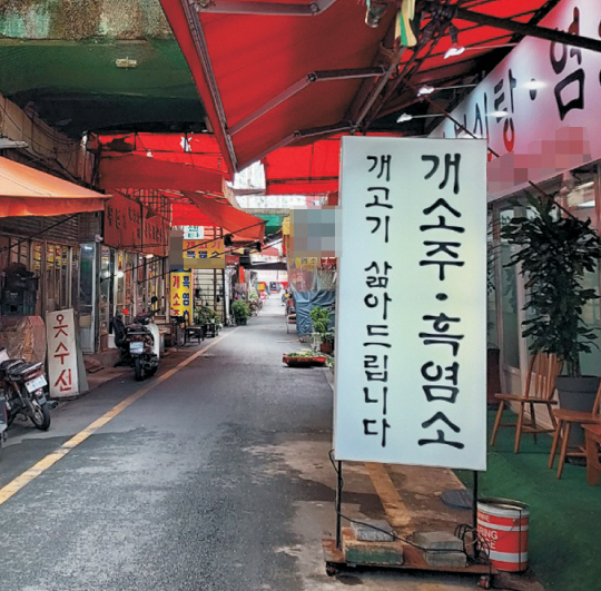 문화일보 자료사진. 기사와는 관련 없음.