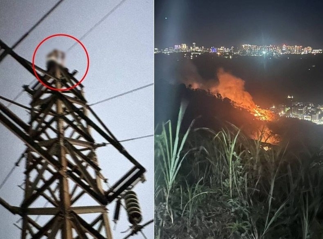 현지 경찰 제공