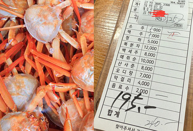 한국관광공사, 온라인커뮤니티 캡처
