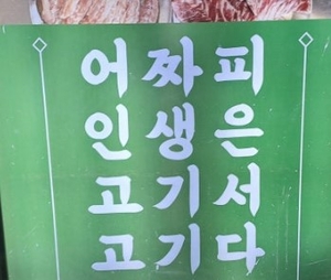 ‘인생은 고기서 고기다’ 젊은이 옷에 적힌 문구 불편했는데… [미안합니다]