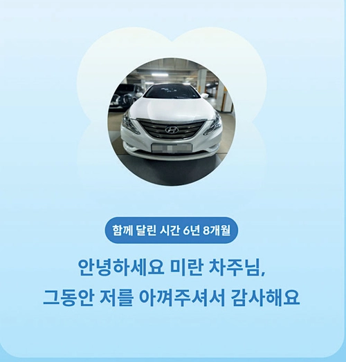 중고차 앱에서 보내준 인사말.