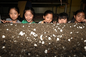 양송이 키우고 무화과 맛보고… ‘백제 王都’서 가을을 느껴보세요[농촌愛올래]