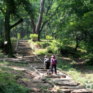 백색의 돌이 아름다운 ‘도심 생태계 보고’… 힐링 코스로 제격[자랑합니다]