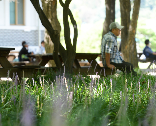한 시민이 잔디밭 인근에 마련된 벤치에 앉아 휴식을 취하고 있다 (사진은 기사와 관련 없음). 뉴시스