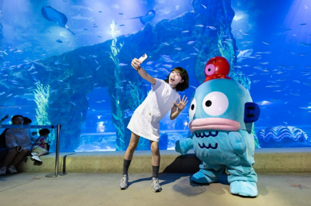 롯데월드타워 아쿠아리움에서 진행되는 한교동 라이브캐릭터 그리팅 행사 이미지. 롯데월드 제공