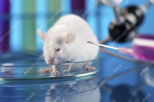 게티이미지뱅크