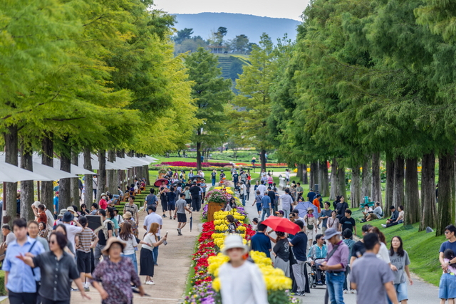 순천만국가정원 낙우송길이 관람객들로 북적이고 있다. 순천시청 제공