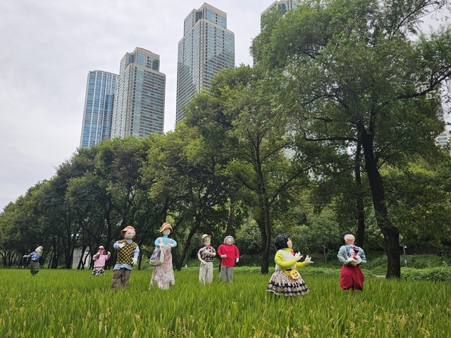 양재천 벼농사 체험장 허수아비. 강남구청 제공