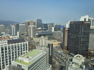 바카라 카지노 시내 쥐 출몰 민원 9000건…강남·마포·관악에?