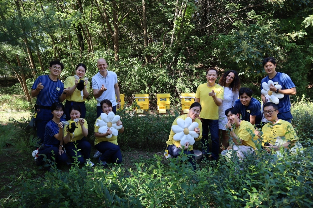 '세계 거대기업이 웬 양봉?'···이케아가 꿀벌 키운 이유는?...생태... - 뉴스 썸네일 이미지