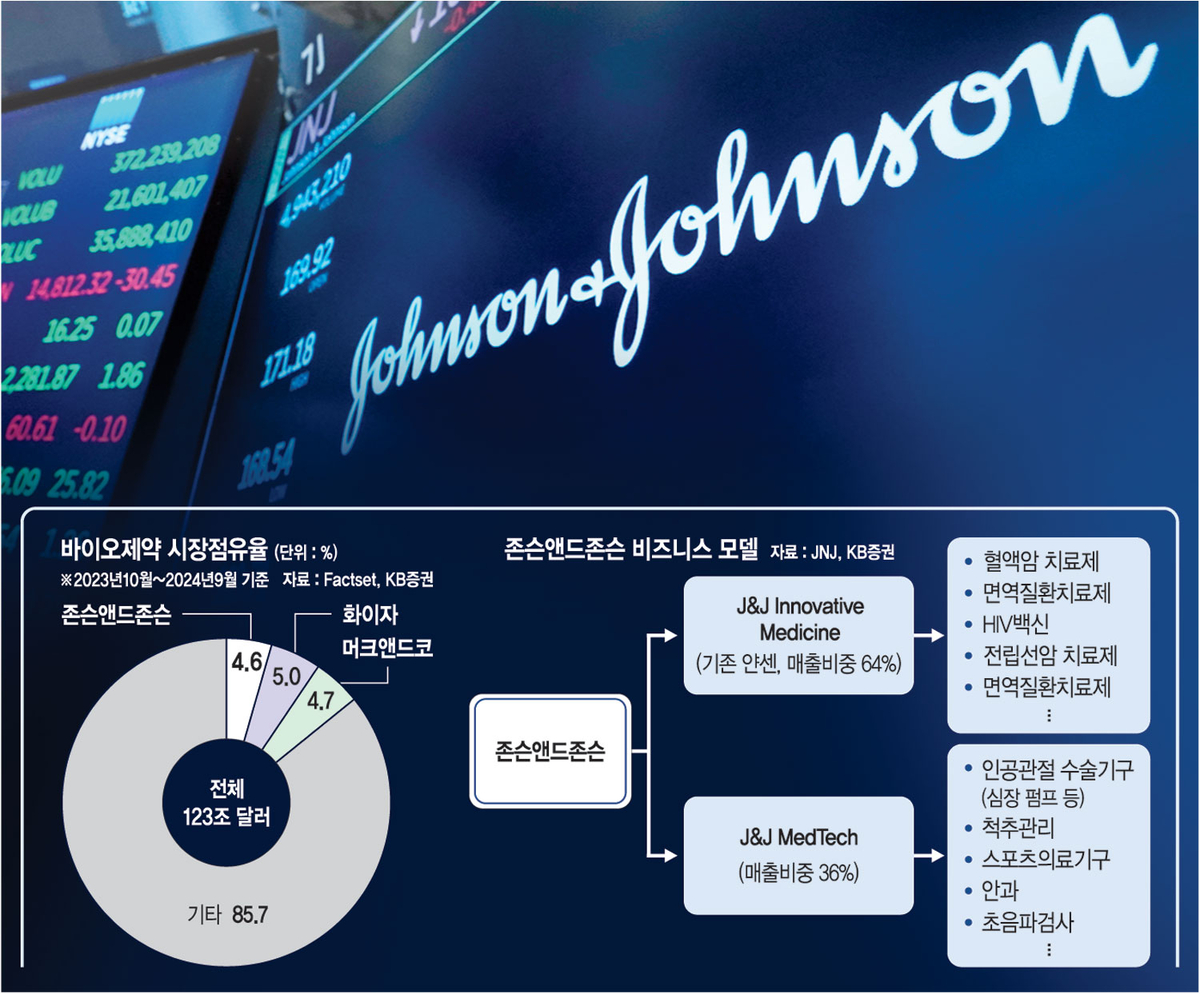  그래픽=권호영 기자