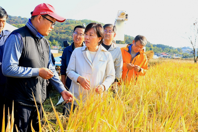 지난해 추수기를 맞아 청주시 소재 벼 재배 농가를 방문한 송미령 농식품부 장관. 농림축산식품부 제공