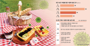 가을에 더 세지는 살모넬라… “먹거리 축제·도시락 위생관리 강화”[안전한 食·醫·藥, 국민건강 일군다]
