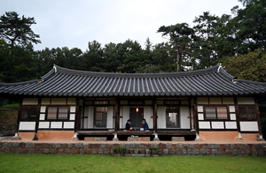 빌딩숲 벗어나 ‘꼬끼오’ 알람… 커피 대신 ‘할머니표 보성 녹차’[농촌愛올래]