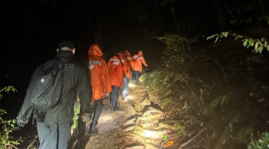 충북 영동군 천태산에서 80대 노인이 실종된 14일 소방당국이 수색 중인 모습. 연합뉴스