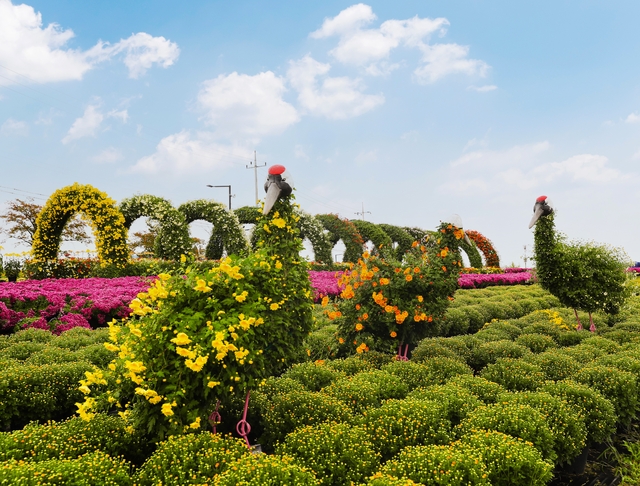 연천군은 오는 17일부터 26일까지 10일간 연천 전곡리유적에서 ‘제7회 연천국화축제’를 개최한다. 연천군 제공