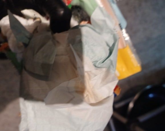 아프니까 사장이다