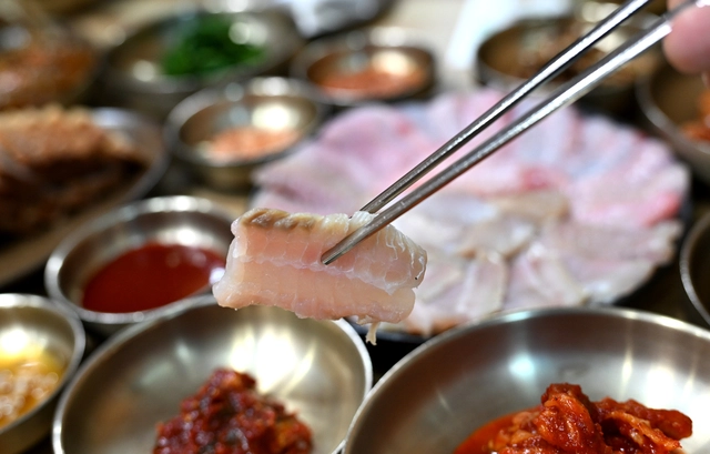 미식의 도시 목포에서 맛본 홍어회.