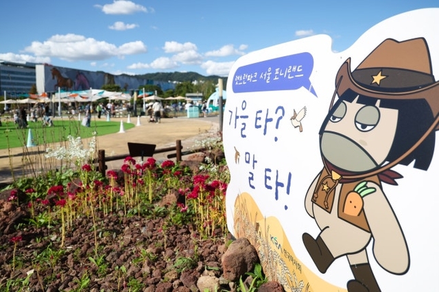 가을 타? 말 타! 프로그램 안내문.