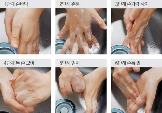 손 씻기 단계
