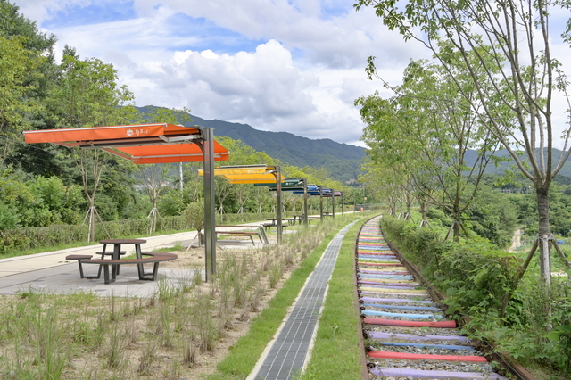치악산 바람길숲. 원주시청 제공