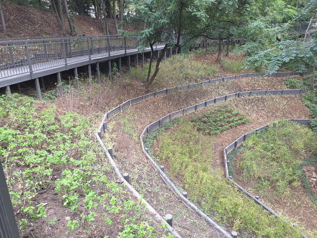 서울 구로구 온수근린공원 문학지구에 조성된 ‘연결 숲길’의 데크로드와 데크로드 아래 사면안정을 위해 식재된 관목 등의 모습. 구로구청 제공