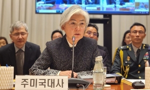 강경화 주미대사, 트럼프 APEC 의전 못하나…신임장 제정식 연기