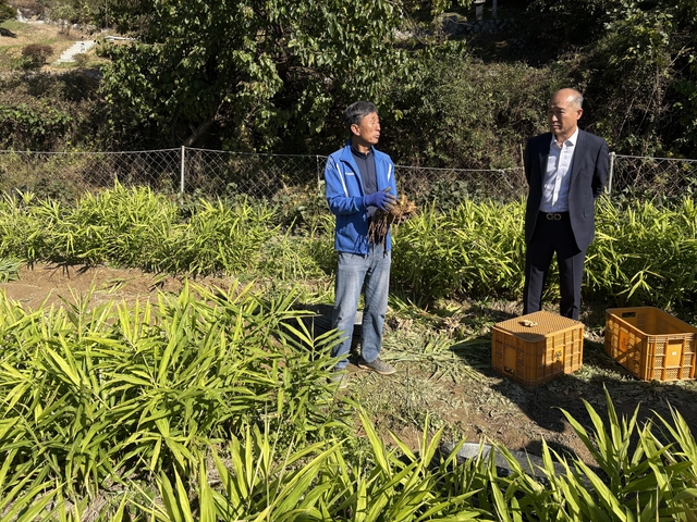 27일 경기 안성시 삼죽면 기솔리 일원 생강밭에서 허춘만(왼쪽) 안성친환경출하회 생강작목반장이 최창수 경기도농수산진흥원장과 대화를 나누고 있다. 경기도농수산진흥원 제공