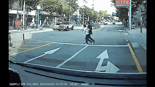 96억 원대 사기 수배범, 무단횡단하다 경찰에 덜미…