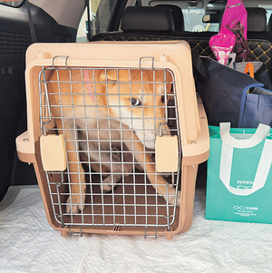 무럭무럭 잘 자라줘서 고마워~[포토 에세이]