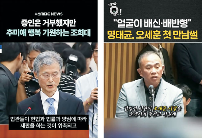 국감 쇼츠 80%가 ‘정쟁’… 정책 삼킨 ‘여야 자극적 선동’