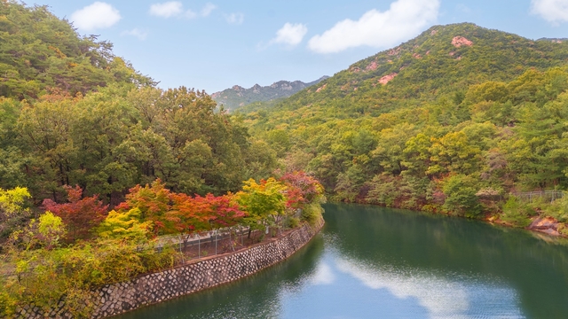 경기 안양시 만안구 석수동 일원에 자리한 서울대 안양수목원 전경. 안양시청 제공