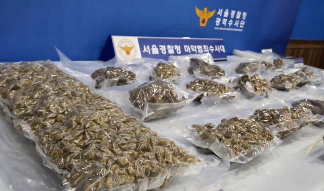 경찰이 마약 밀수책 3명으로부터 압수한 대마. 밀수책들 중에는 해군 현역병 A 상병도 포함됐다. 이들은 올해 4월부터 태국에서 대마 총 10.2㎏을 인천공항으로 들여온 뒤 국내에 유통한 혐의를 받는다. 서울경찰청