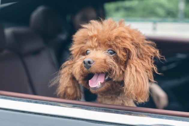 기사와 직접 관계 없는 이미지. 게티이미지뱅크