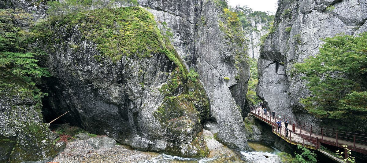 순한 길따라 이어진 ‘고운 협곡’… 불길 지나고, 다시 붉어질 채비[박경일기자의 여행]