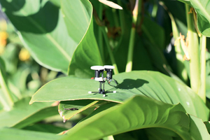 벼룩과 초파리가 미물 ?… 로봇·AI·의학 움직이는 거물 ![북리뷰]