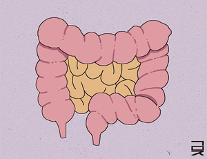 밸[한성우 교수의 맛의 말, 말의 맛]