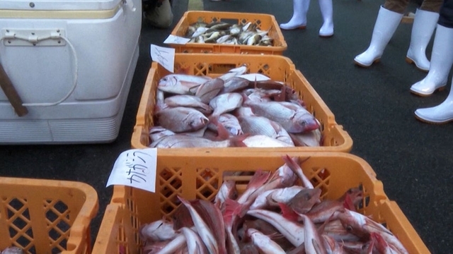 일본 수산물 연합뉴스