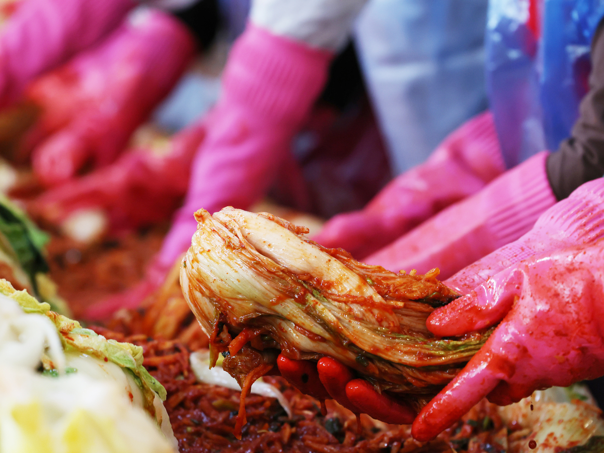 김치 과발효 걱정 끝…‘종균 김치’가 미주·유럽 수출길 넓힌다