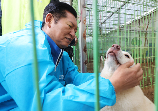 정청래 더불어민주당 대표가 9일 경기도 용인시 처인구 백암면에 위치한 유기견 보호소 ‘행복한 강아지들이 사는 집’에서 봉사활동을 하고 있다. 연합뉴스