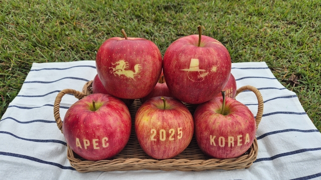 경북 사과로 생산한 ‘문자사과’. 경북도농업기술원 제공