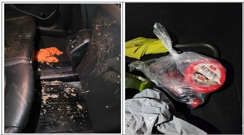 만취 승객들에 가짜 토사물 뿌리고 1억 5000만 원 뜯은 택시 기사, 판사는…