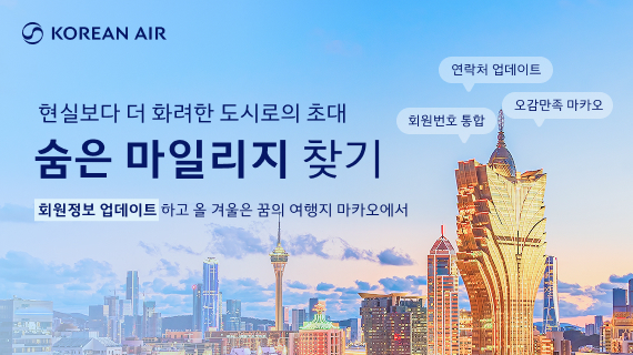 대한항공 숨은 마일리지 찾기 프로모션 안내문. 대한항공 제공