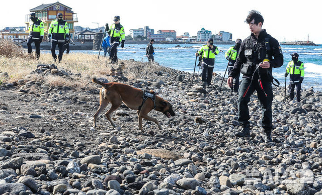 최근 제주 해안에서 마약류가 잇따라 발견되고 있는 가운데 경찰과 해경, 군부대 등 800여 명 동원돼 해안가 마약류 합동 수색·수거 작업을 벌이고 있다. 뉴시스
