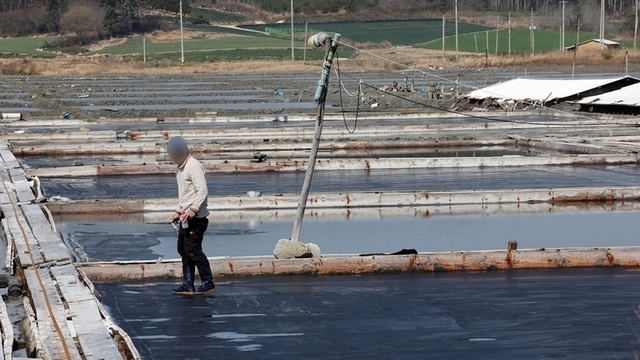 염전의 모습. 기사 내용과 직접 관련 없음. 연합뉴스