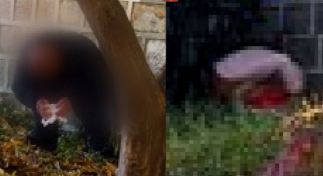 경복궁 앞서 바지 내리고 ‘대변’ 테러…中 관광객 추정